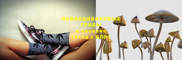 амф Балабаново