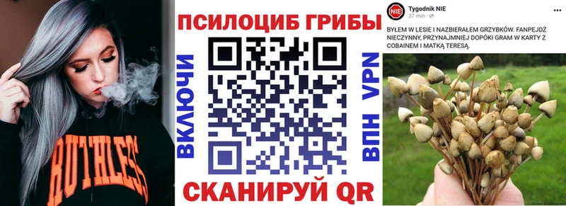 Купить закладки  Таруса  Псилоцибиновые грибы мухоморы 